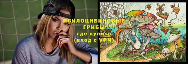 apvp Арсеньев